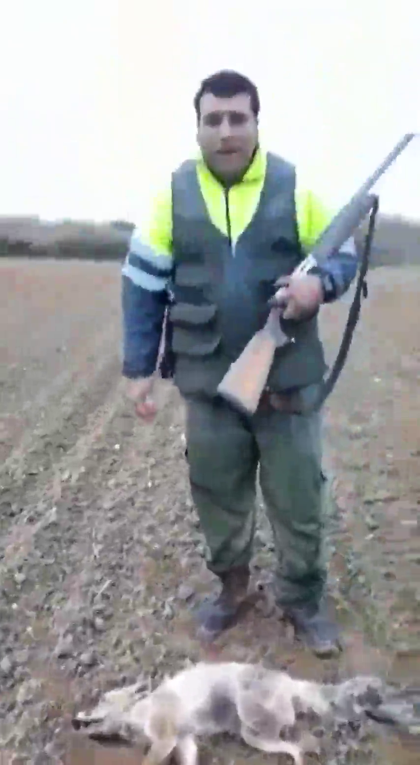 La Guardia Civil identifica al autor de la brutal agresión a un zorro La Guardia Civil identifica al autor de la brutal agresión a un zorro