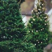 Con los árboles de Navidad tenemos que tener mucho cuidado, más aún si los cortamos nosotros mismos 