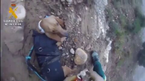 El impresionante rescate de la Guardia Civil de un perro que llevaba tres d&iacute;as atrapado en un barranco 