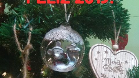 Feliz 2019