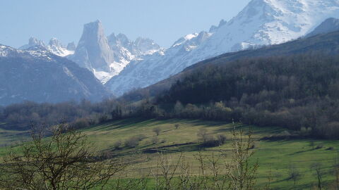 Picos de Europa