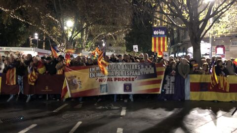 Manifestaci&oacute;n en Palma por la "unidad de Espa&ntilde;a". 