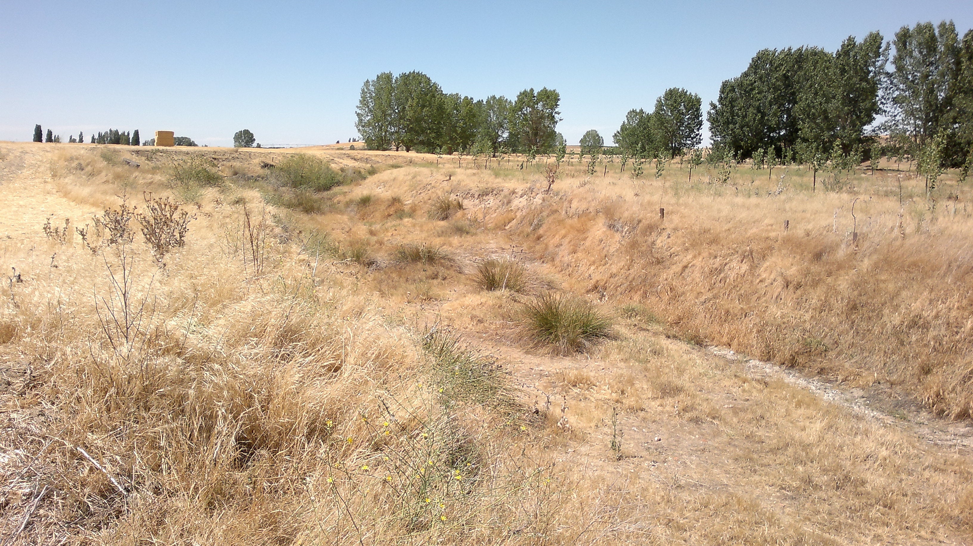La consejera de Agricultura pide que no se demonice a las macro granjas La consejera de Agricultura pide que no se demonice a las macro granjas