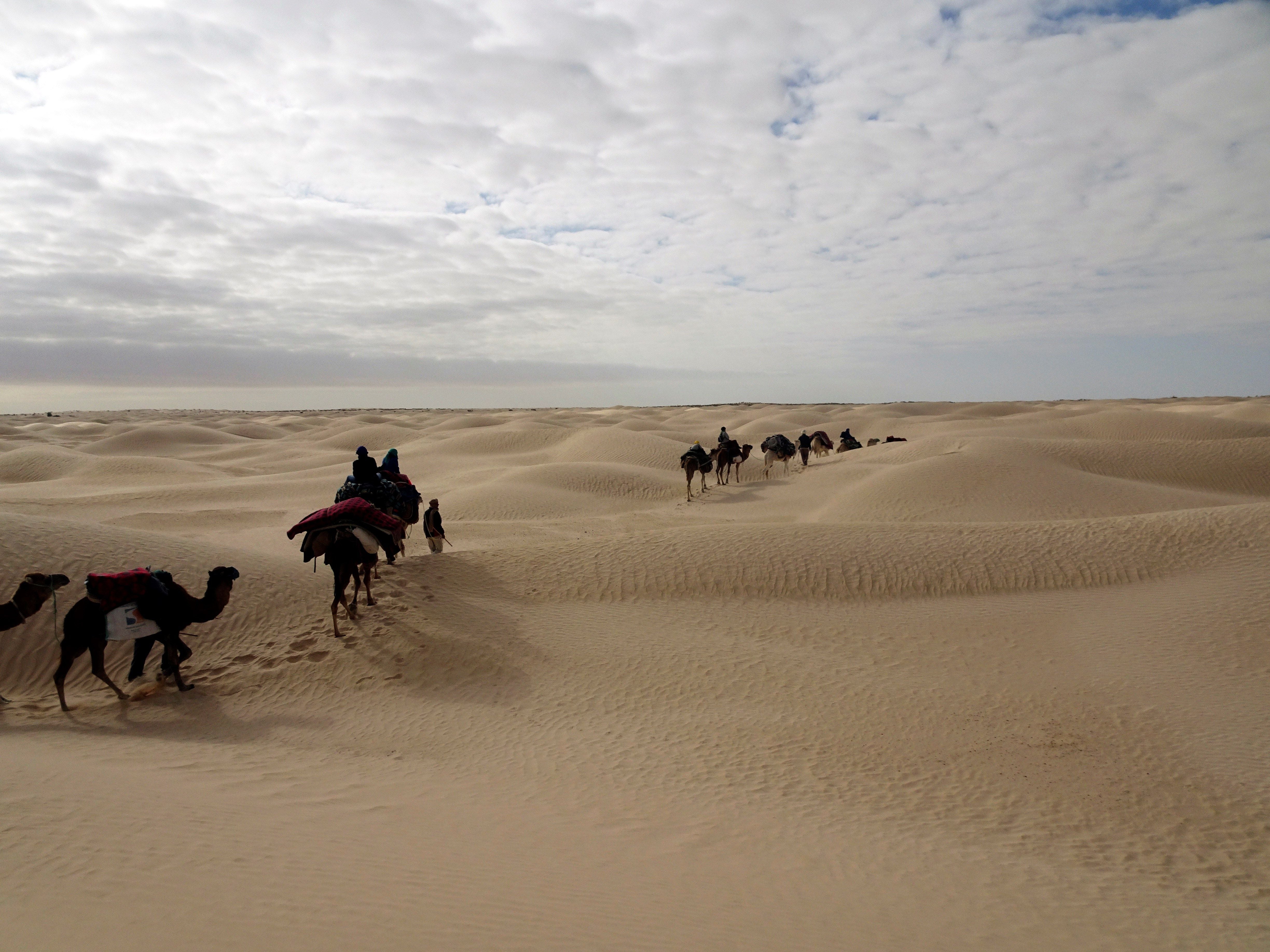 Que no... Jesucristo no se refirió a camellos pasando a través de agujas Que no... Jesucristo no se refirió a camellos pasando a través de agujas
