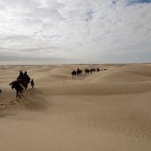 Camellos en la arena (04-01-19)