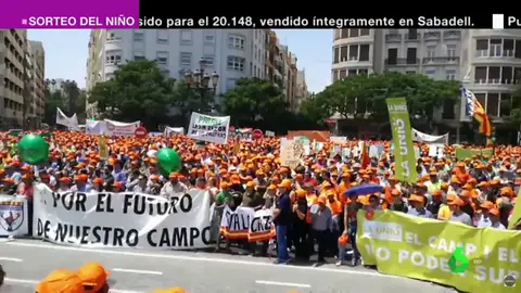 La Plataforma per la Dignitat del Llaurador anuncia nuevas movilizaciones para el 21 de enero. NARANJAS VALENCIA