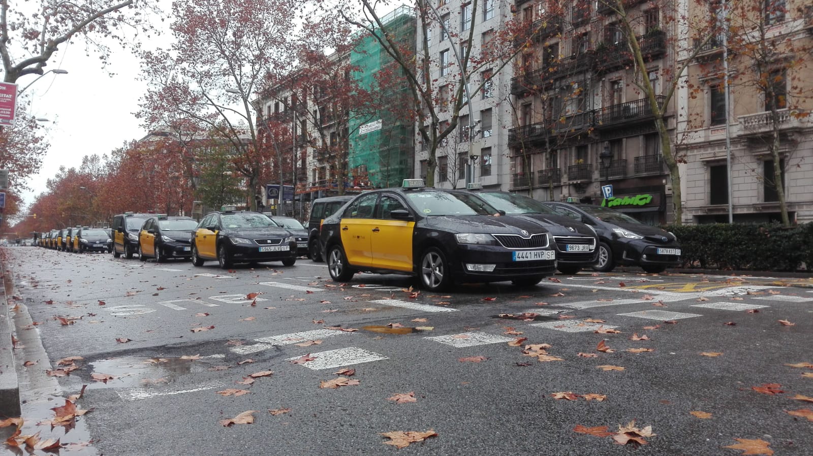 Los taxistas exigen pasar de "minutos a horas" el tiempo de precontratación de un VTC Los taxistas exigen pasar de "minutos a horas" el tiempo de precontratación de un VTC