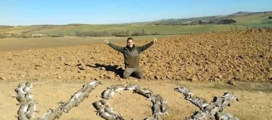 Cazador formando la palabra Vox con conejos muertos Cazador formando la palabra Vox con conejos muertos