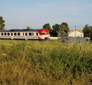 Un tren circula a la altura de la pedanía de Torrellano de Elche. Un tren circula a la altura de la pedanía de Torrellano de Elche.