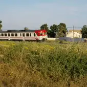 Un tren circula a la altura de la pedanía de Torrellano de Elche. Un tren circula a la altura de la pedanía de Torrellano de Elche.