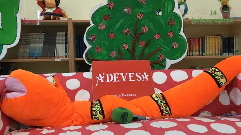 Ceip San Benito de Lérez 2018-2019 xaneiro 2019 Dálle á Lingua 2018-2019