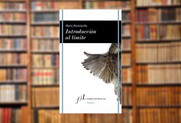'Introducción al límite', el poemario que indaga en las fronteras del dolor 'Introducción al límite', el poemario que indaga en las fronteras del dolor