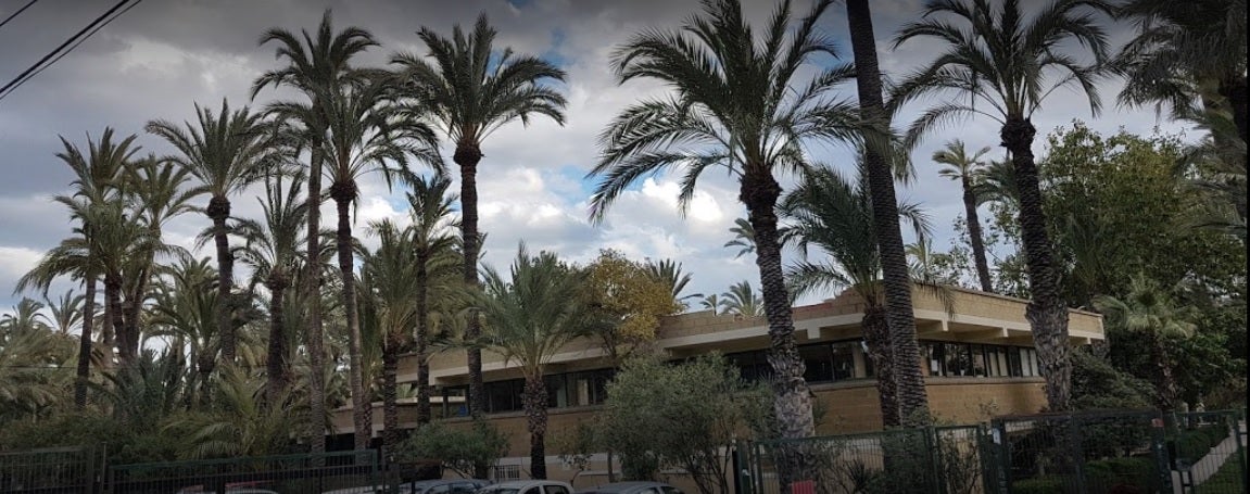 Elche suspende las clases este miércoles en el colegio El Palmeral, en el instituto La Torreta y en el Conservatorio de Música Elche suspende las clases este miércoles en el colegio El Palmeral, en el instituto La Torreta y en el Conservatorio de Música