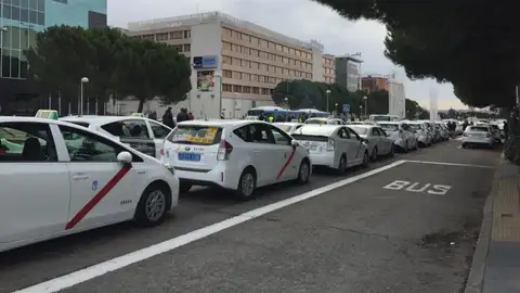Taxis concentrados en IFEMA, en vísperas de Fitur Taxis concentrados en IFEMA, en vísperas de Fitur