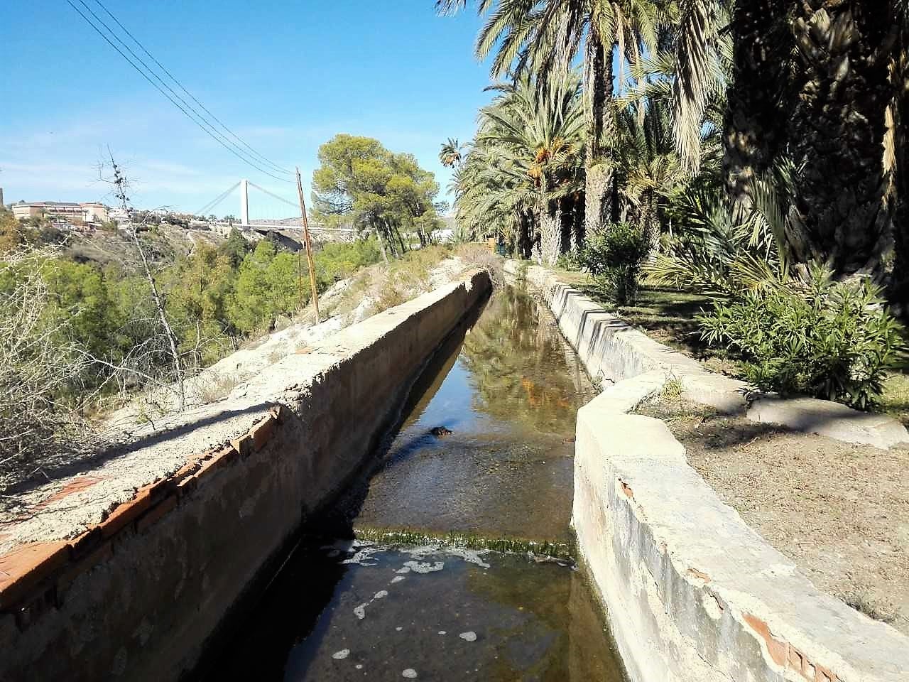 El riego con agua regenerada de huertos y espacios públicos de Elche está cada vez más cerca El riego con agua regenerada de huertos y espacios públicos de Elche está cada vez más cerca
