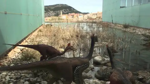 museo paleontologico de clm cuenca