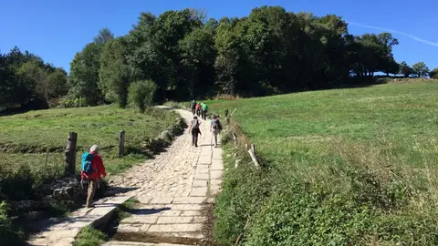 Camino de Santiago Camino de Santiago