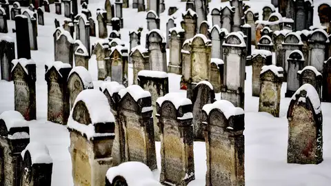 Día Internacional del Recuerdo del Holocausto Día Internacional del Recuerdo del Holocausto