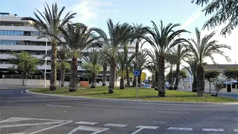 Rotonda de circulación en la calle Josefina Manresa de Elche. Rotonda de circulación en la calle Josefina Manresa de Elche.