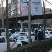 Los taxistas cortan la circulación en los carriles centrales del paseo de la Castellana