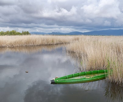 Aumenta a 132 hectáreas la superficie inundada en Las Tablas de Daimiel Aumenta a 132 hectáreas la superficie inundada en Las Tablas de Daimiel