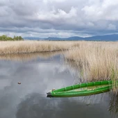 Parque Nacional de las Tablas de Daimiel Parque Nacional de las Tablas de Daimiel