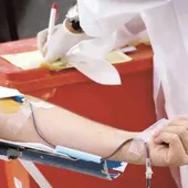 Donación de sangre Donación de sangre