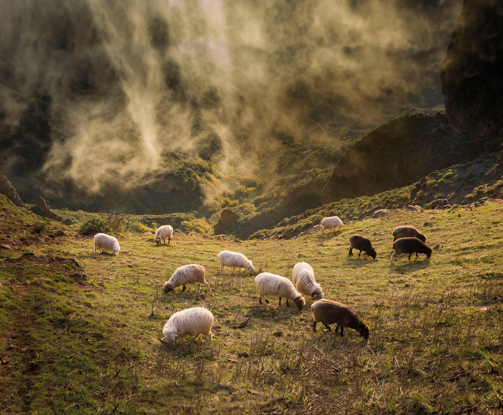 Gran Canaria en la Onda 06/02/2019 Gran Canaria en la Onda 06/02/2019