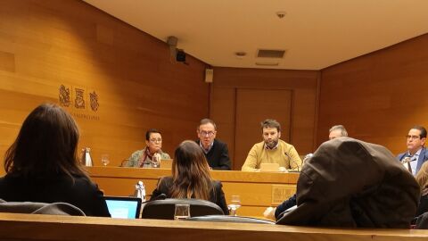 JOAN IGNASI PLA EN LES CORTS