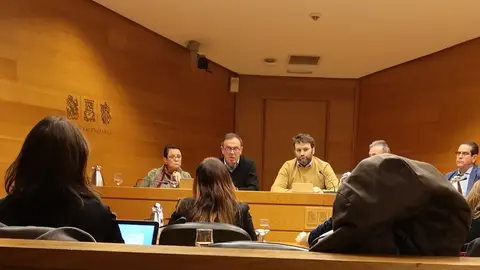 Pla ha comparecido en la comisión que investiga la presunta financiación ilegal del PSPV JOAN IGNASI PLA EN LES CORTS