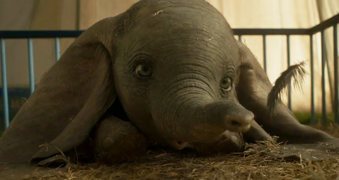 Se estrena Dumbo en los cines, con una versión en español de una de sus canciones Se estrena Dumbo en los cines, con una versión en español de una de sus canciones