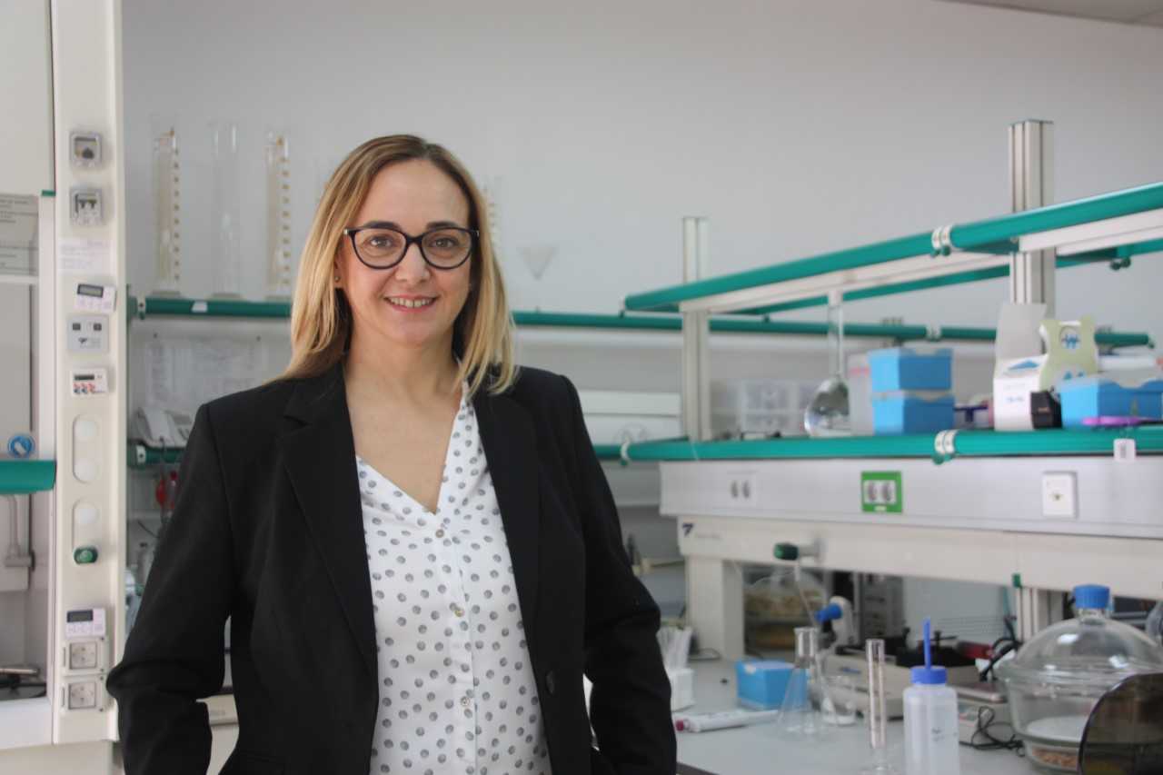 La UMH de Elche lidera una investigación sobre las propiedades beneficiosas del azafrán La UMH de Elche lidera una investigación sobre las propiedades beneficiosas del azafrán