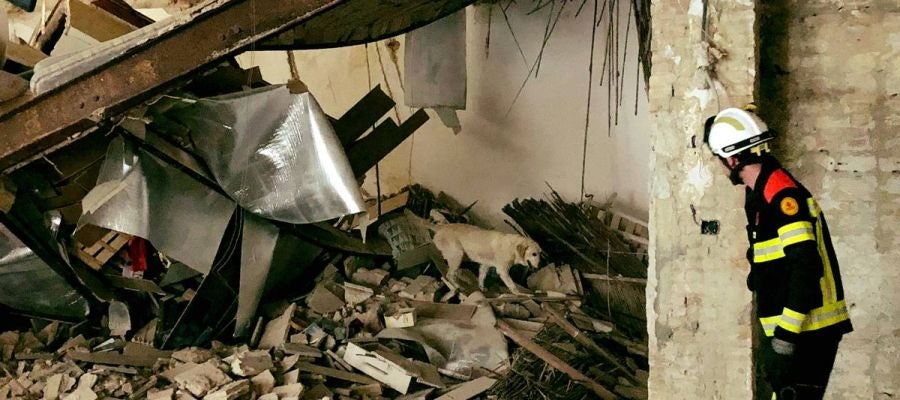 La Unidad Canina de los Bomberos ha supervisado que no hubiera personas atrapadas. La Unidad Canina de los Bomberos ha supervisado que no hubiera personas atrapadas.