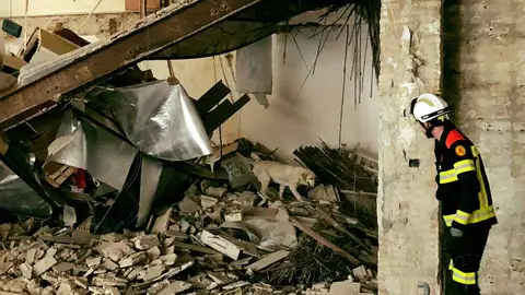 La Unidad Canina de los Bomberos ha supervisado que no hubiera personas atrapadas. DERRUMBE VALENCIA