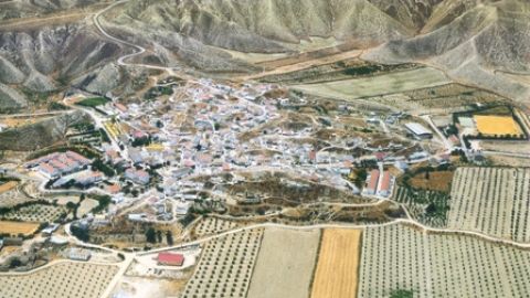 Proyecto de macrogranja