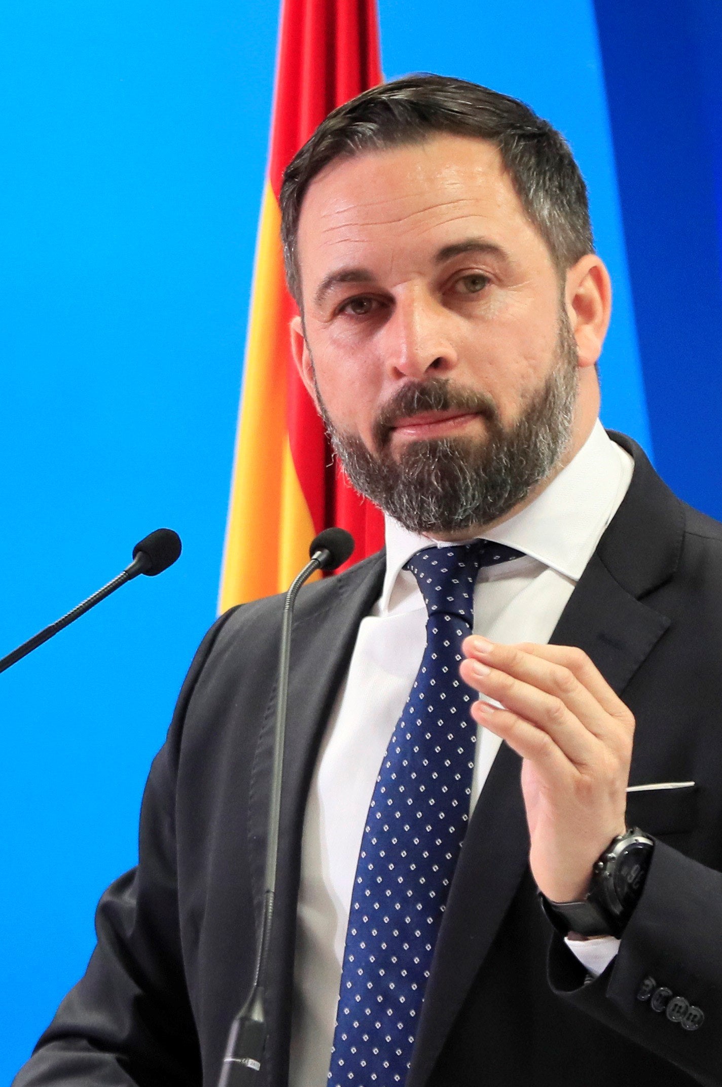 La polémica propuesta de Vox de cambiar la ley para que los españoles puedan "disponer de un arma" para la autodefensa La polémica propuesta de Vox de cambiar la ley para que los españoles puedan "disponer de un arma" para la autodefensa