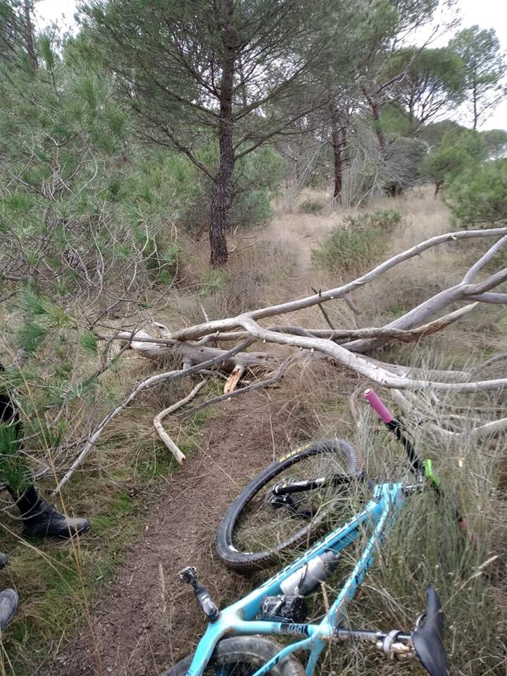 Seguridad Vial: bicicletas Seguridad Vial: bicicletas