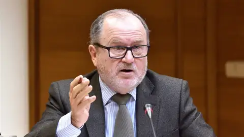 Comparecencia Font de Mora en la Comisión de Investigación del caso Taula en les Corts Font de Mora en les Corts