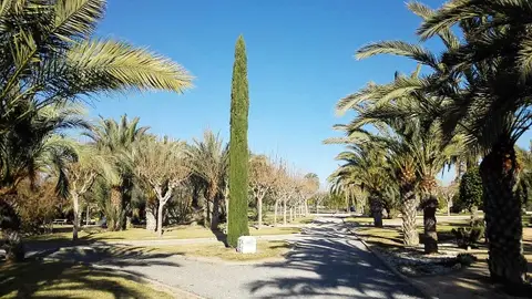 Universidad Miguel Hernández de Elche Universidad Miguel Hernández de Elche
