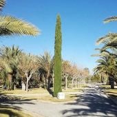 Universidad Miguel Hernández de Elche