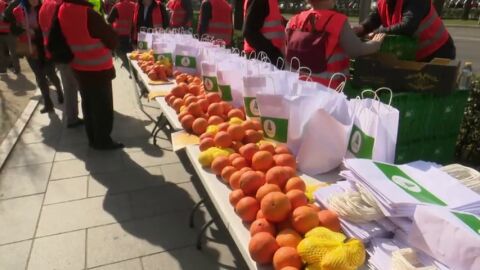 Productores de Naranjas, avellanas y aceitunas se manifiestan en Madrid