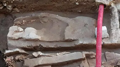 Esqueletos encontrados en las excavaciones arqueológicas del Mercado Central de Elche Esqueletos encontrados en las excavaciones arqueológicas del Mercado Central de Elche