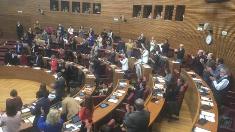 Todos los grupos, excepto Ciudadano han votado a favor