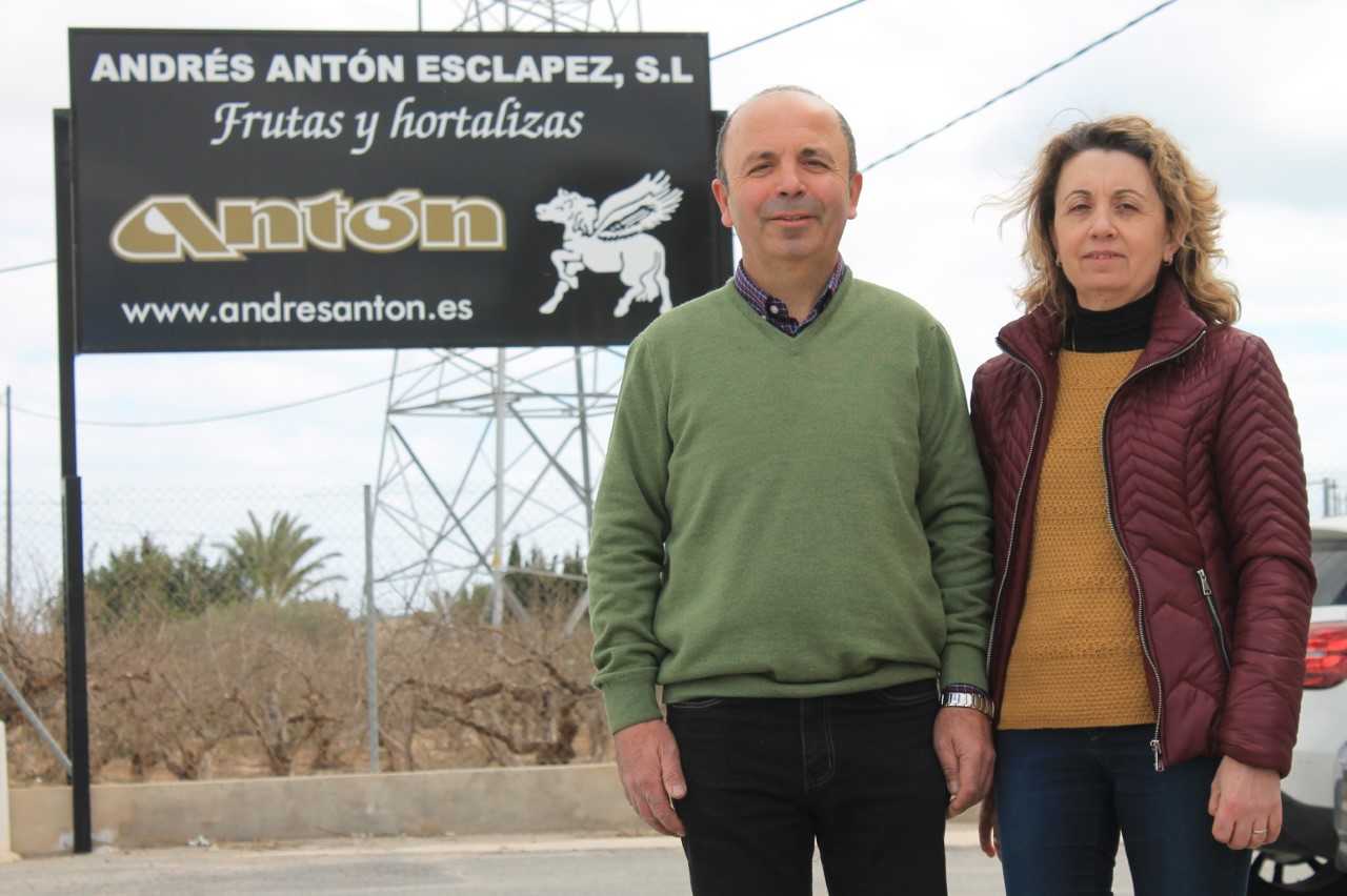 Asaja Elche reconoce la trayectoria de la empresa agraria de Andrés Antón Esclapez Asaja Elche reconoce la trayectoria de la empresa agraria de Andrés Antón Esclapez