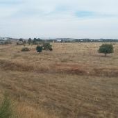 Terrenos donde se ubicará el Polígono Industrial SEPES "Oretania"