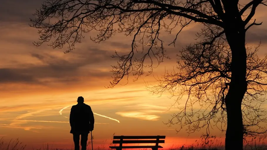 Atardecer en las afueras Atardecer en las afueras