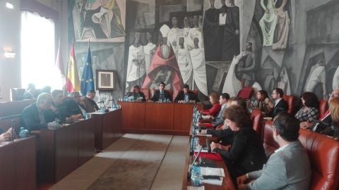 Pleno de la Diputaci&oacute;n de Ciudad Real