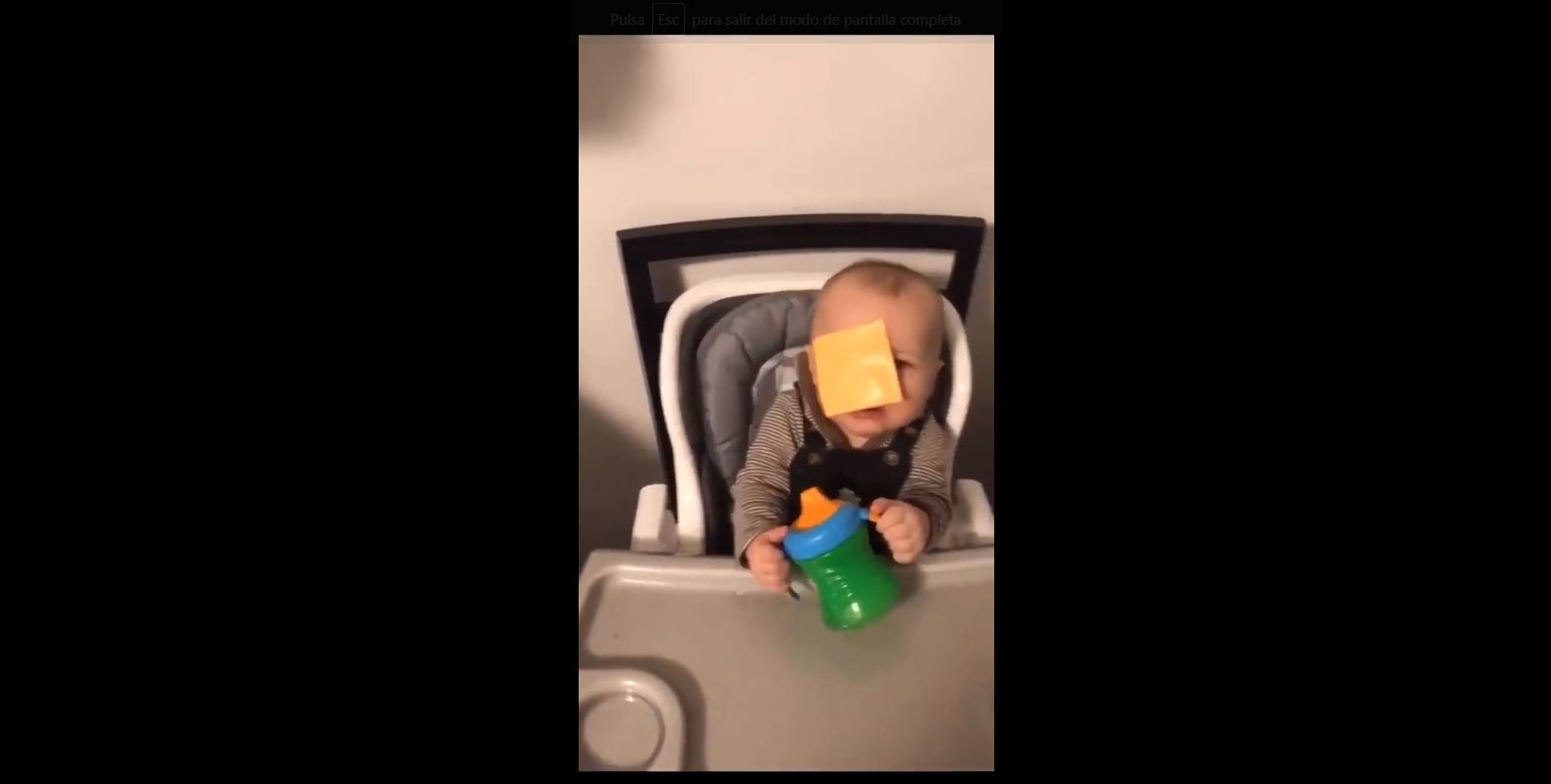 El nuevo y polémico reto viral, 'Cheesed Challenge': lanzar lonchas de queso a la cara de los bebés El nuevo y polémico reto viral, 'Cheesed Challenge': lanzar lonchas de queso a la cara de los bebés