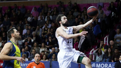 Sergio Llull entra a canasta