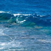 Las olas de calor marinas amenazan la biodiversidad de los oceanos